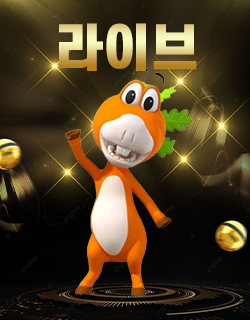라이브